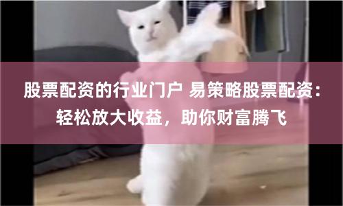 股票配资的行业门户 易策略股票配资:轻松放大收益,助你财富腾飞