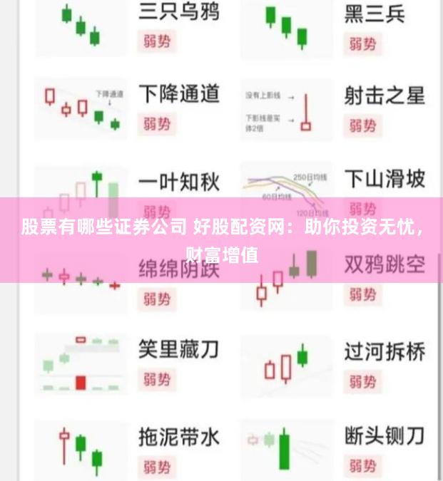 股票有哪些证券公司 好股配资网：助你投资无忧，财富增值