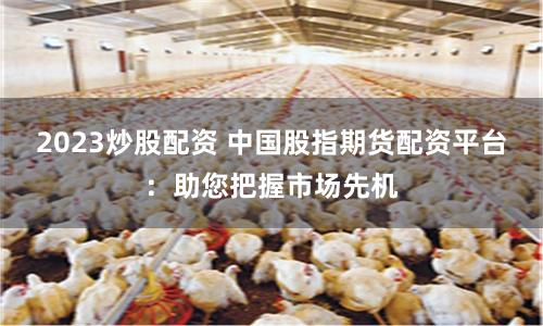2023炒股配资 中国股指期货配资平台:助您把握市场先机
