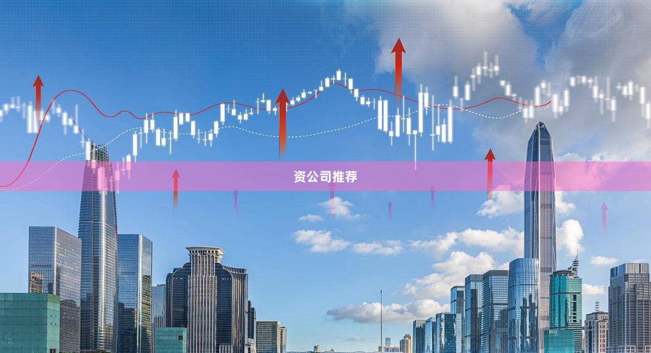 资公司推荐