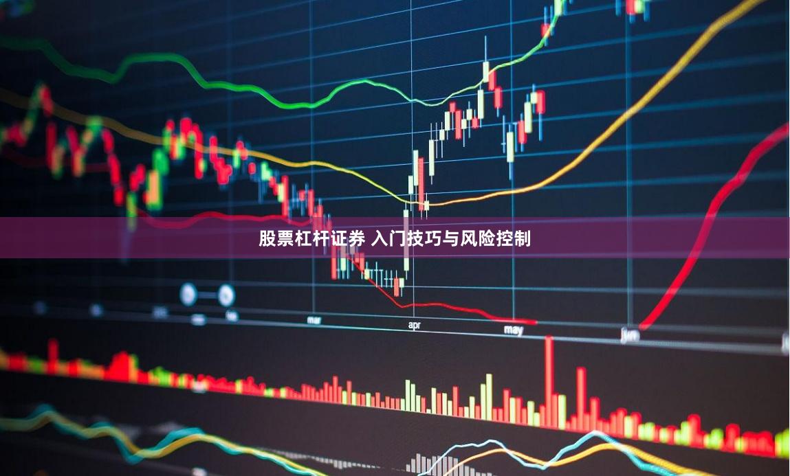股票杠杆证券 入门技巧与风险控制