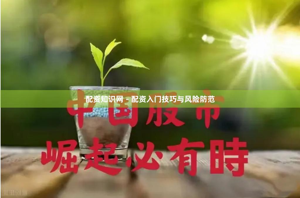 配资知识网 - 配资入门技巧与风险防范